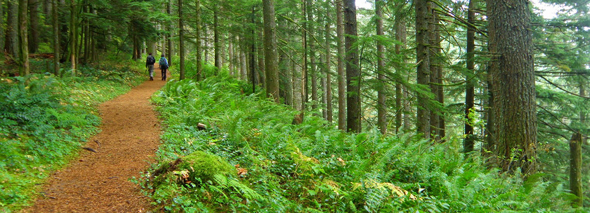 Multnomah Falls to Devil's Rest